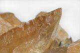 Dogtooth Calcite Crystals with Phantoms - Morocco #222927-9